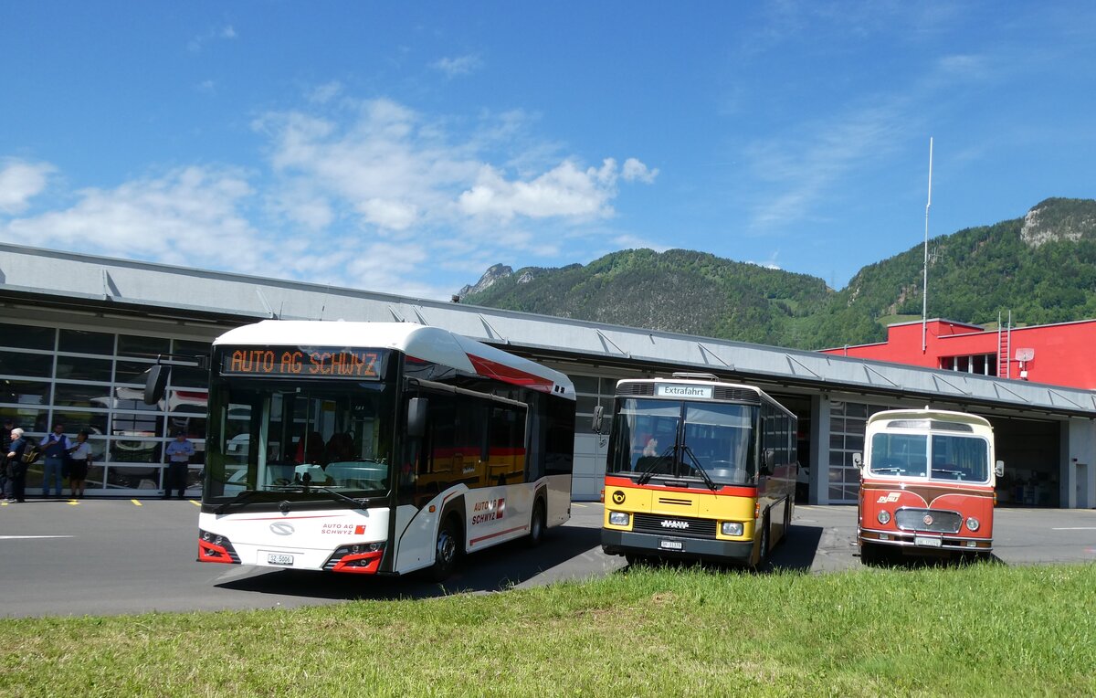 (286'890) - AAGS Schwyz - Nr. 6/SZ 5006 - eSolaris + Ruklic, Schaffhausen - SH 31'376 - NAW/Hess (ex AVG Meiringen Nr. 68/PID 964; ex P 24'454) + Dysli, Bern - Nr. 18/BE 17'120 - FBW/FHS (ex P 23'211; ex P 21'011) am 9. Mai 2026 in Ibach, Busdepot