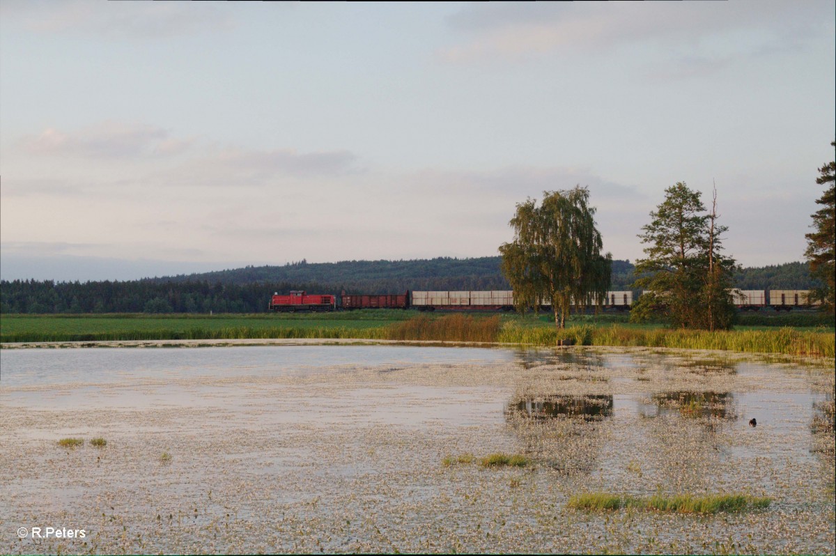 294 601-0 mit der Wiesauer Übergabe nach Marktredwitz bei Oberteich. 15.06.15