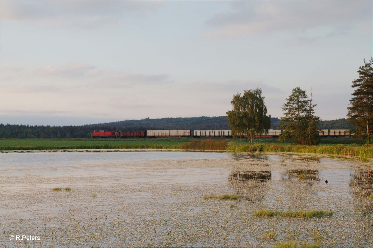 294 601-0 mit der Wiesauer Übergabe nach Marktredwitz bei Oberteich. 15.06.15