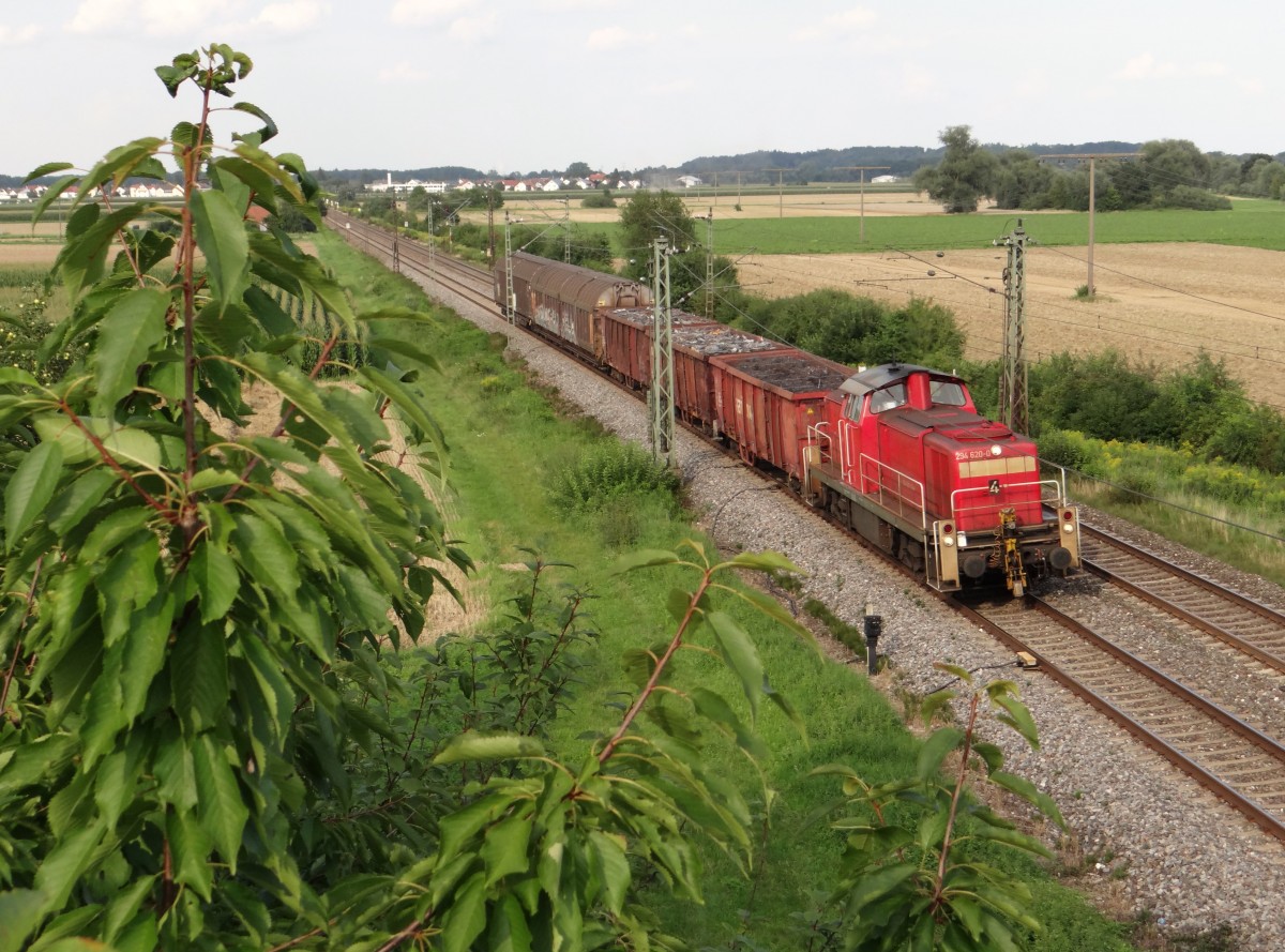 294 620-0 zu sehen am 06.08.14 in Neu Ulm. 