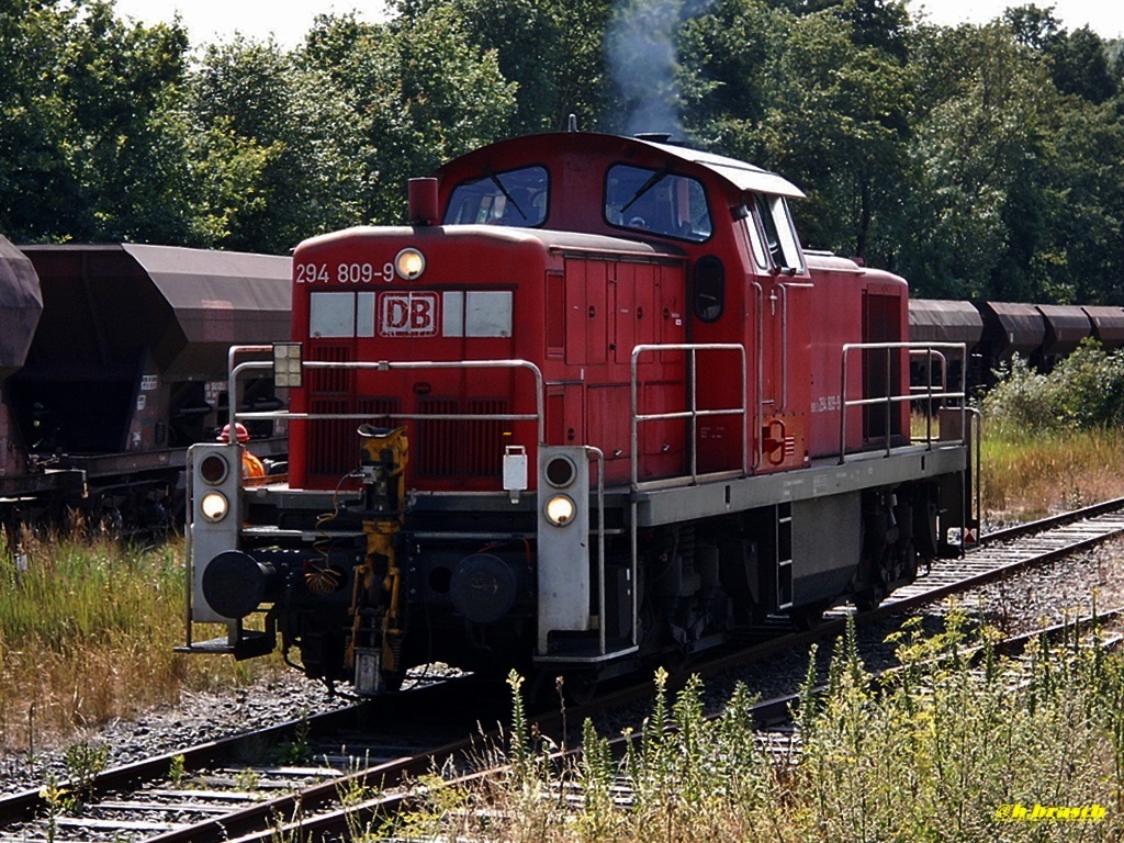 294 809-9 beim rangieren am bhf glinde,datum 16.07.14