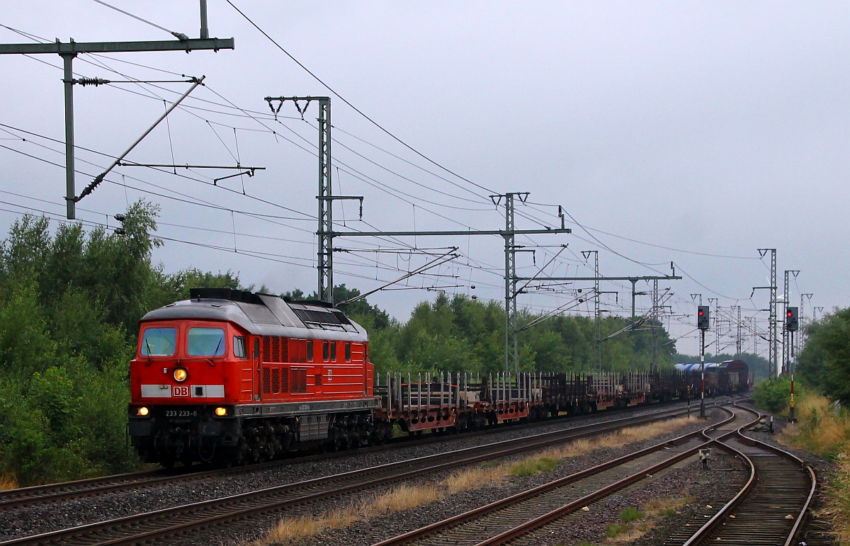 2.Tag Abendumleiter erster Zug leicht verspätet mit 233 233-6(REV/BCS X/27.09.10)Bild 2. Jübek 15.07.2014