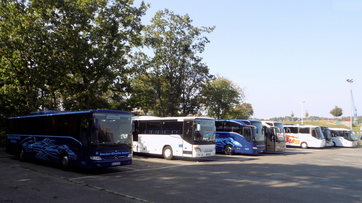 2x Mercedes Tourismo und Setra 415 UL von Becker-Strelitz Reisen aus Deutschland in Rostock.