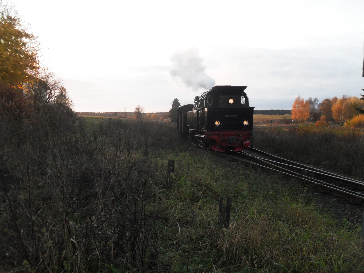 31.10.2016: 99 6001 aus Hasselfelde bei der Einfahrt in Stiege.