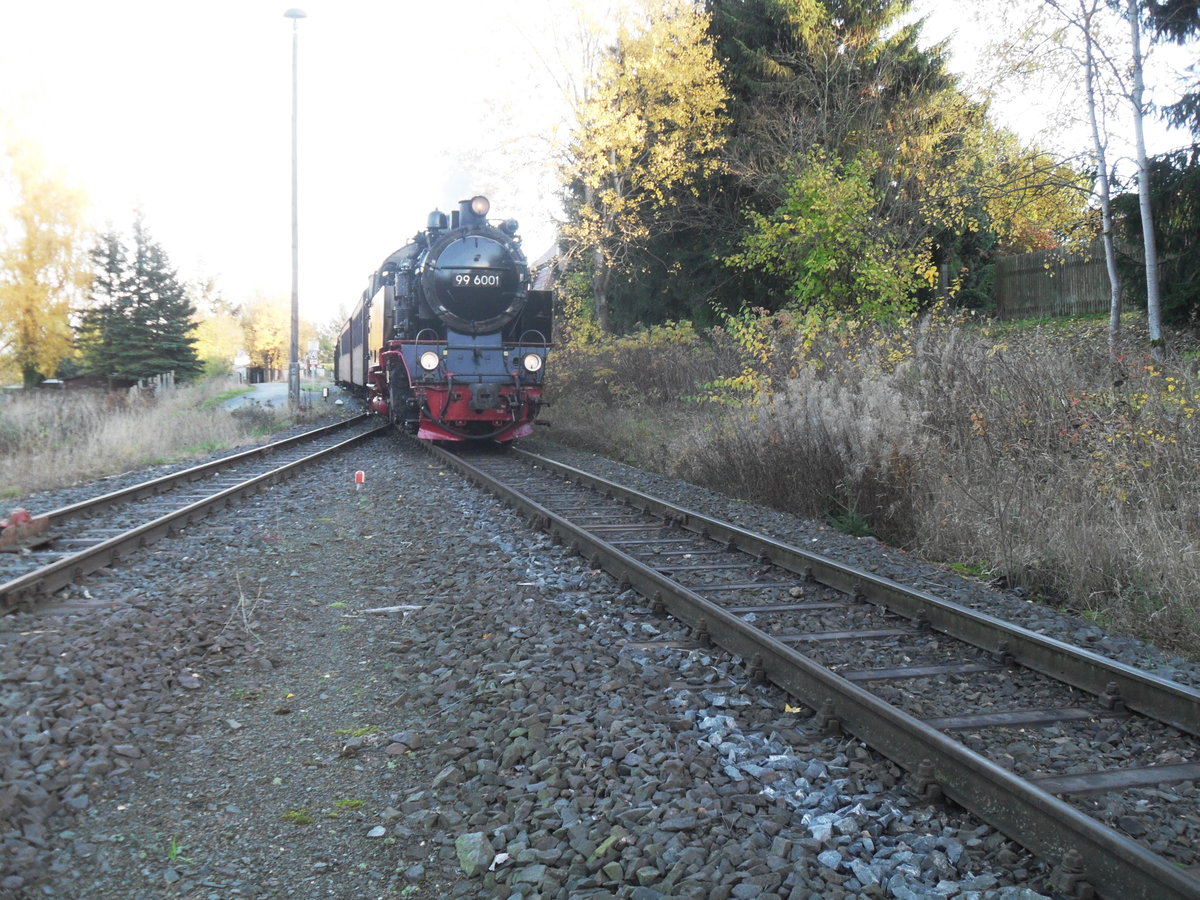 31.10.2016: 99 6001 bei der Einfahrt in Hasselfelde.