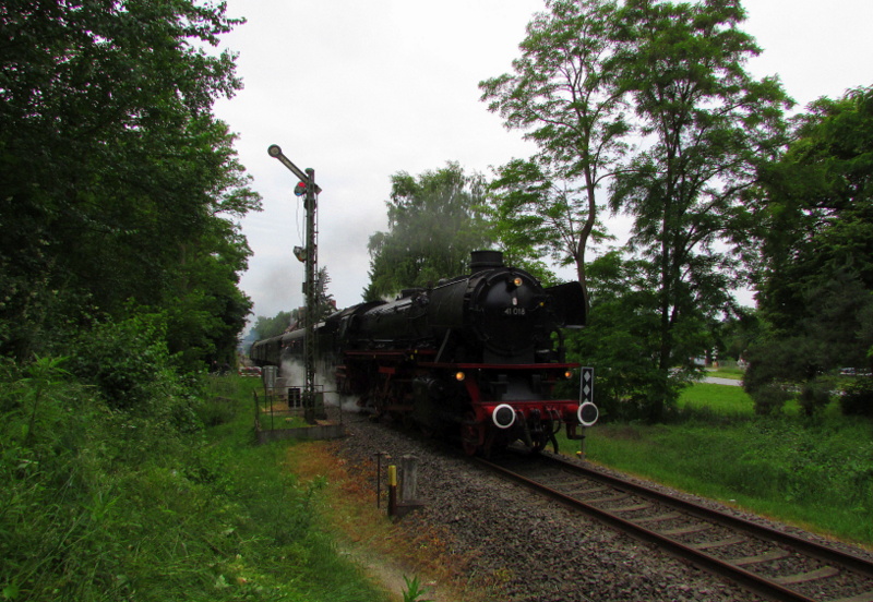 41 018(Dampflok Gesellschaft M�nchen) bei der letzten Fahrt nach Bensheim am 2.Tag des Dampfspektakels.Sie und 41 360 fuhren auf der Nibelungenbahn zwischen Bensheim und Worms.Hier am Einfahrsignal des Bahnhofs Lorsch/Ried am Do,29.Mai.2014
