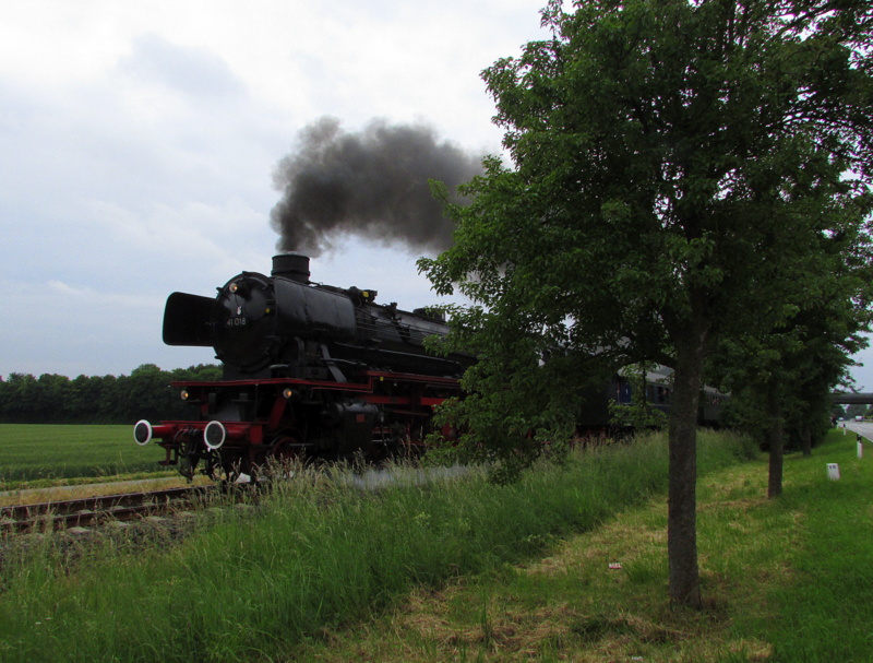 41 018(Dampflok Gesellschaft M�nchen) kurz hinter dem Bahnhof Lorsch/Ried.Sie und 
41 360 fuhren am Tag 2 des Dampfspektakels auf der Nibelungenbahn zwischen Bensheim und Worms.Aufgenommen am Do,29.Mai.2014