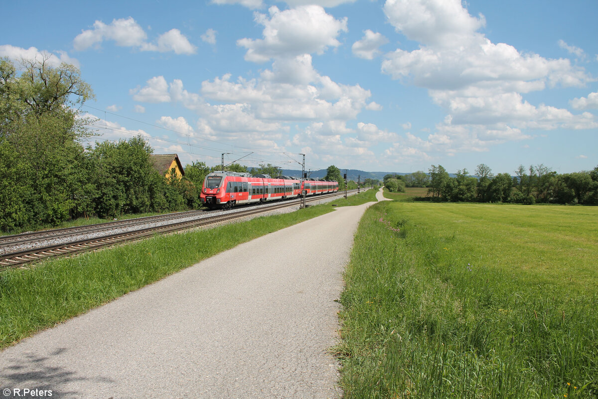 442 104-6 als S1 39162 Neumarkt/Oberpfalz - Bamberg bei Pölling. 14.05.24