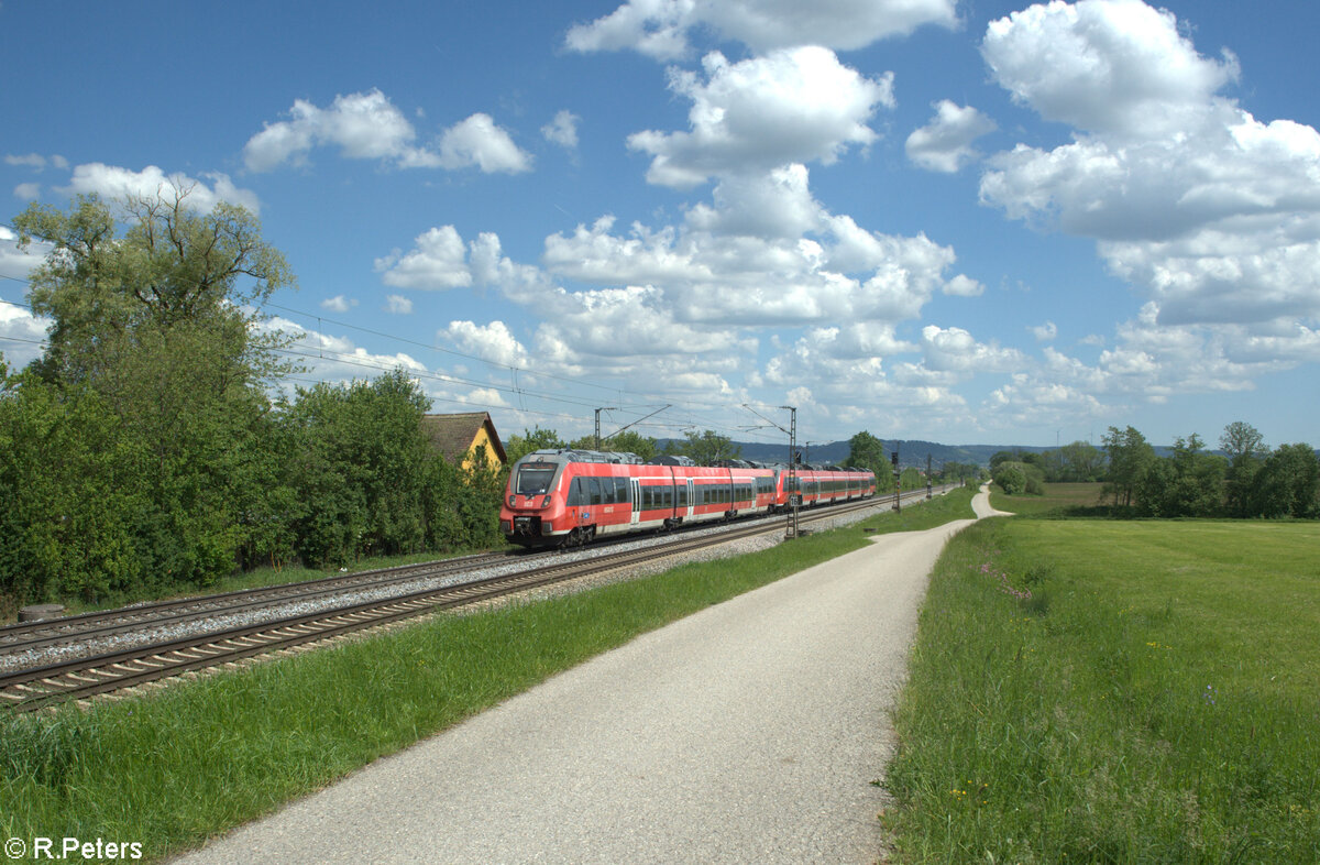 442 104-6 als S1 39162 Neumarkt/Oberpfalz - Bamberg bei Pölling. 14.05.24