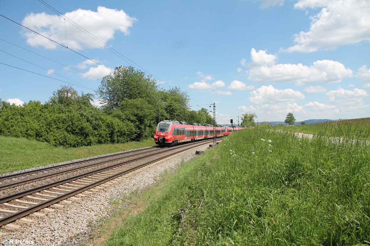 442 223 als S1 39160 Neumarkt/Oberpfalz - Erlangen. 14.05.24