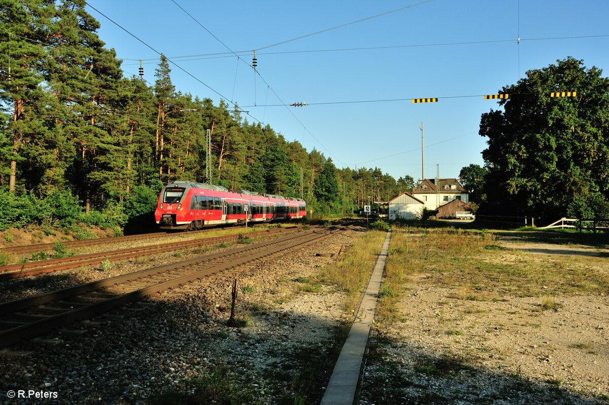 442 229-1 mit S3 3935 Neumarkt/Oberpfalz - Nürnberg in Ochenbruck. 15.09.23