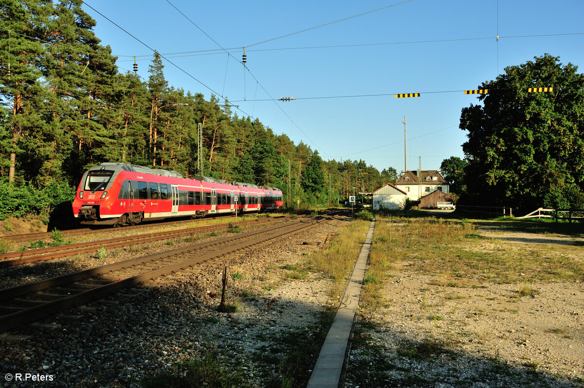 442 229-1 mit S3 3935 Neumarkt/Oberpfalz - Nürnberg in Ochenbruck. 15.09.23