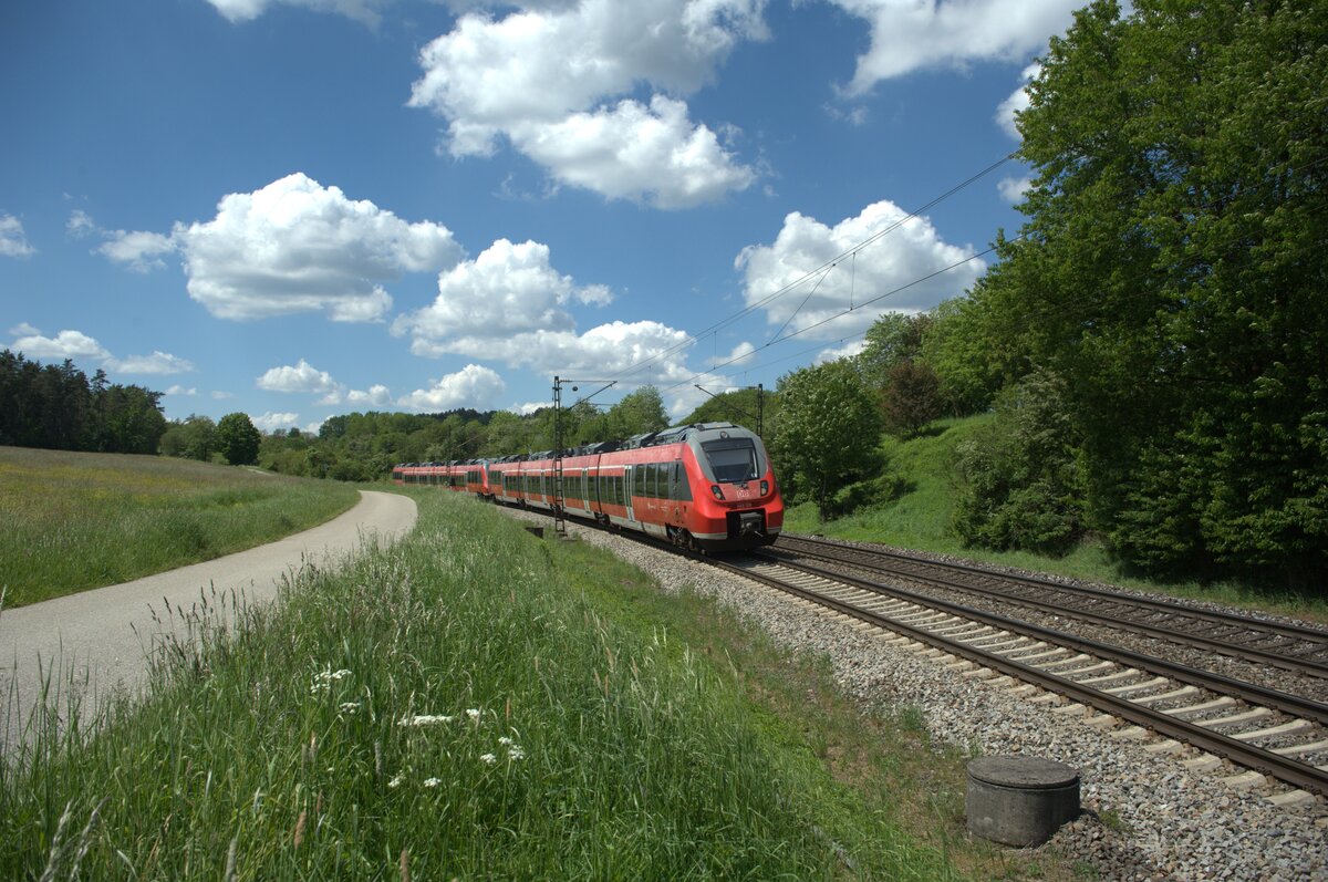 442 231 als S1 39147 Forchheim - Neumarkt/Oberpfalz bei Pölling. 