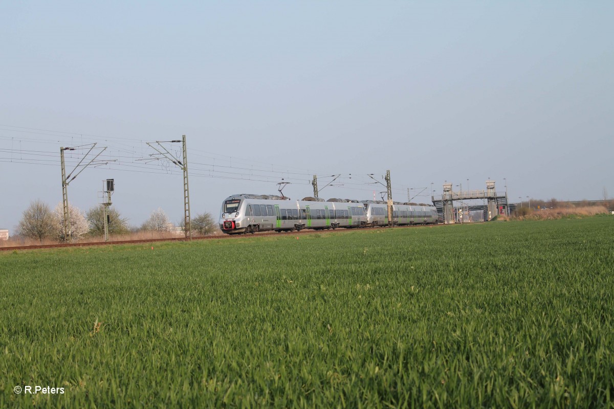 442 711-8 + eine unbekannte als S3 37346 Leipzig Stötteritz - Halle/Saale bei Schkeuditz West. 29.03.14