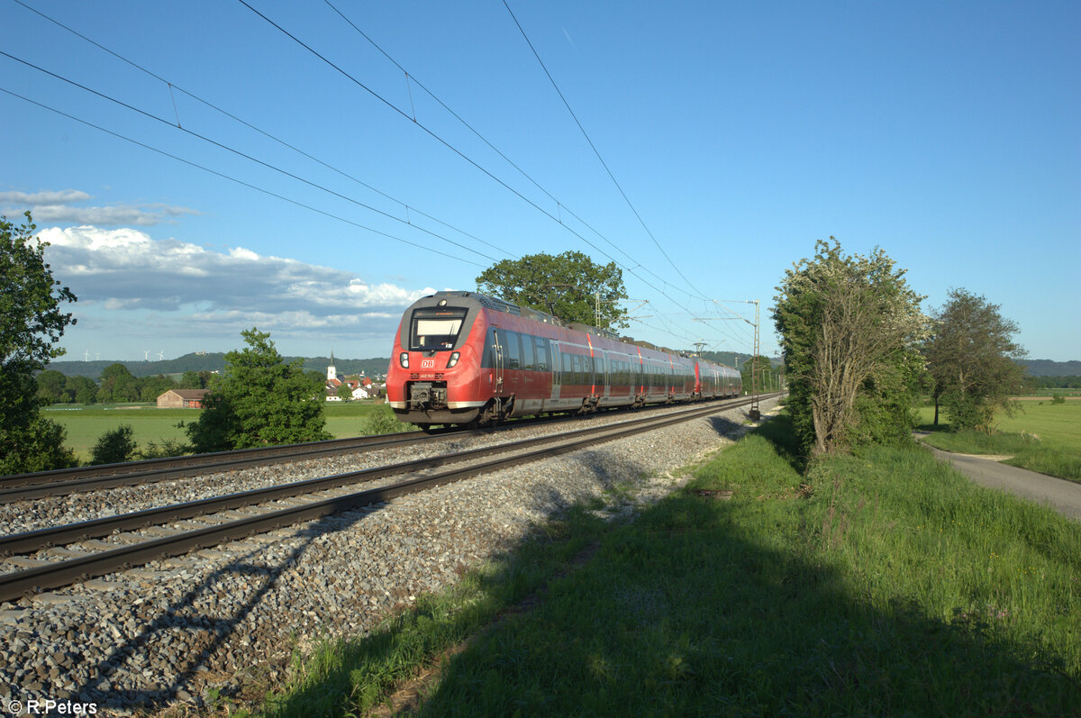 442 743 als S1 39192 Neumarkt/Oberpfalz - Bamberg bei Pölling. 14.05.24