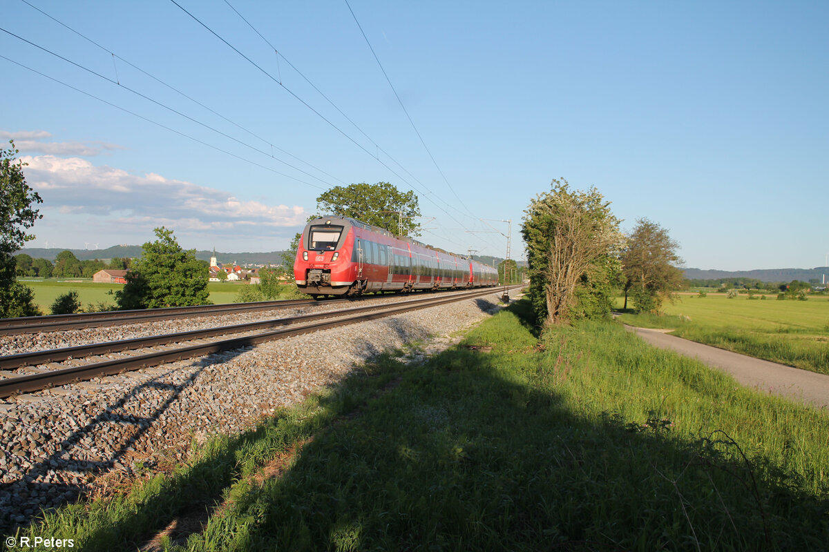 442 743 als S1 39192 Neumarkt/Oberpfalz - Bamberg bei Pölling. 14.05.24