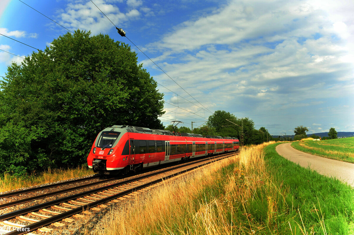 442 768 als S3 39358 Neumarkt/Oberpfalz - Nürnberg HBF bei Pölling. 16.07.23