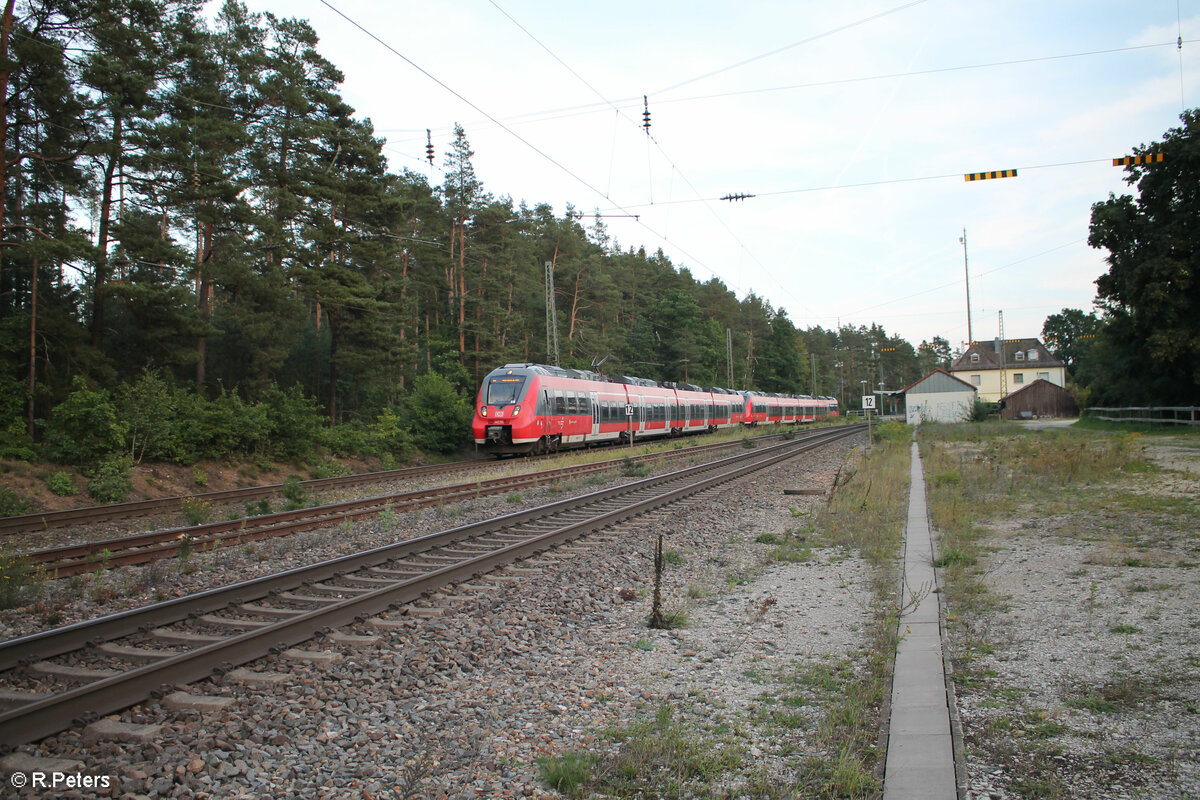 443 751 als S3 84232 Neumarkt/Oberpfalz - Nürnberg HBF in Ochenbruck. 12.09.23