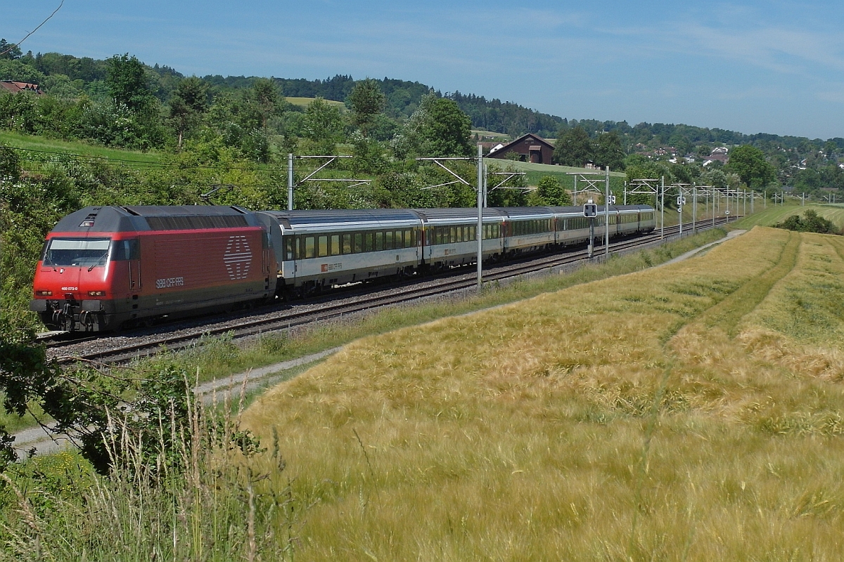 460 073-0 zieht die Wagen des IR 2118, Konstanz - Zürich, bei Girsberg den Seerücken hinauf (11.06.2017).