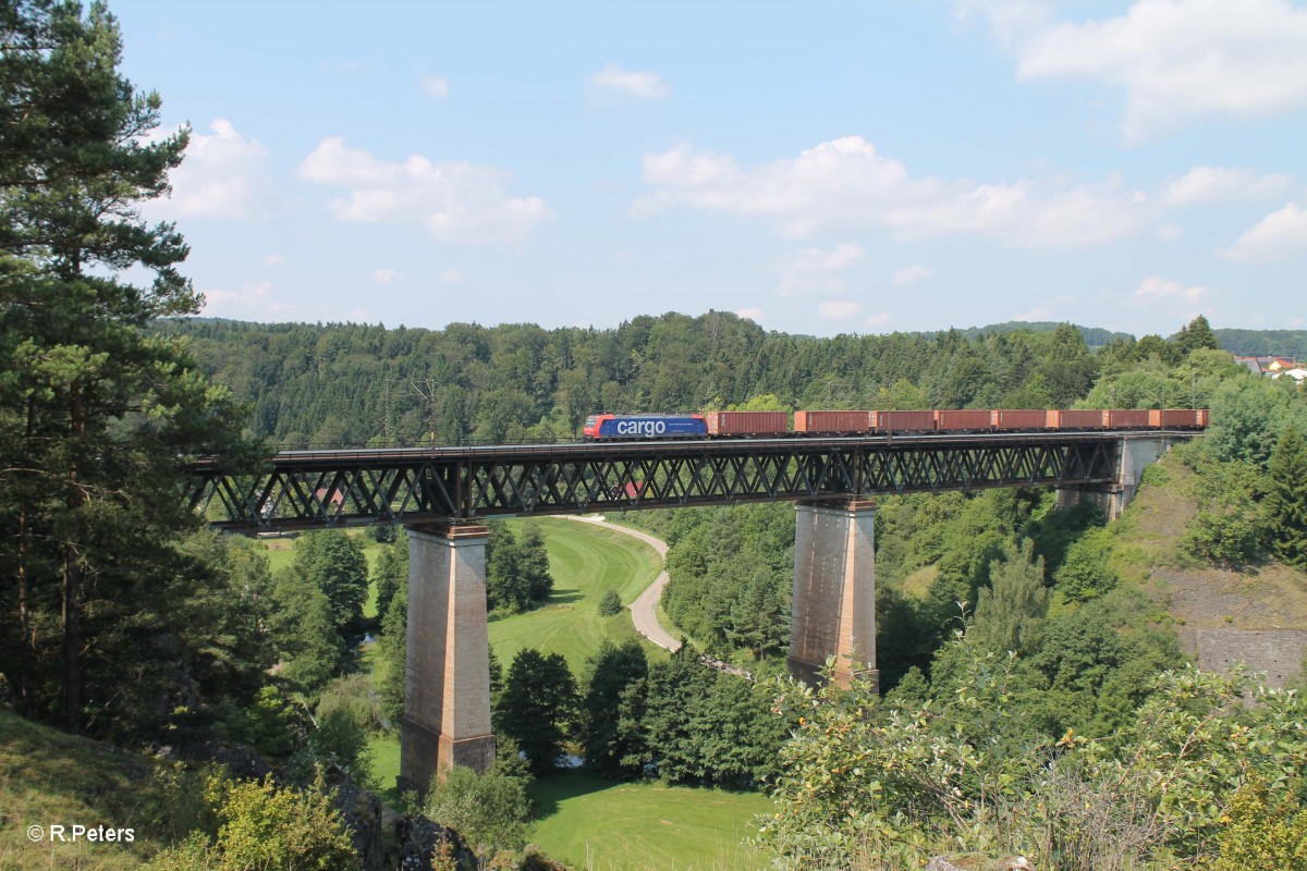 482 003-9 mit einem Containerzug bei Beratzhausen. 25.07.14