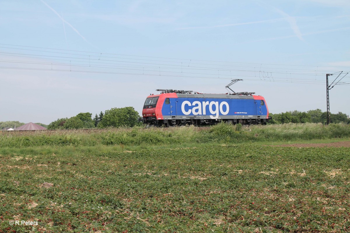 482 006-4 rollt solo südlich von Weinheim( Bergstrasse) in Richtung Mannheim/Heidelberg. 28.05.15