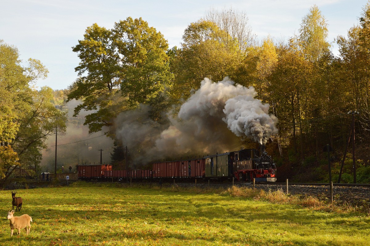 99 1590-1 bei der Ausfahrt aus Steinbach mit einem Sonderzug am 24.10.2015.