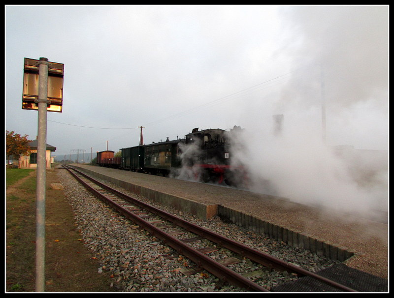 99 1608-1 dampfte sich am 11.Okt.2013 in Seelvitz ein.