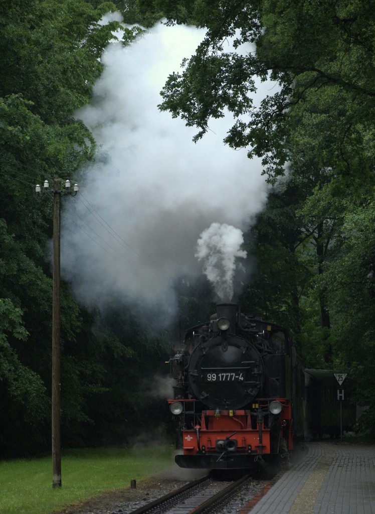 99 1777-4  bei der Einfahrt Haltepunkt L��nitzgrund.Regenwetter 28.05.2014  08:40 Uhr