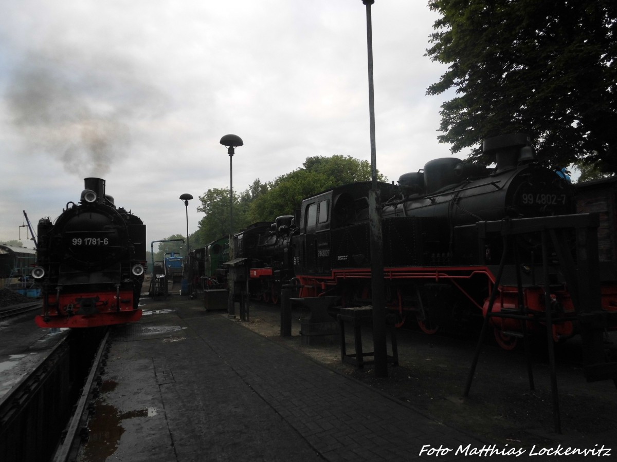 99 1781, 251 901, 99 4652, Mh 52, 99 4633 und 99 4802 im Kleinbahn BW Putbus am 31.5.15