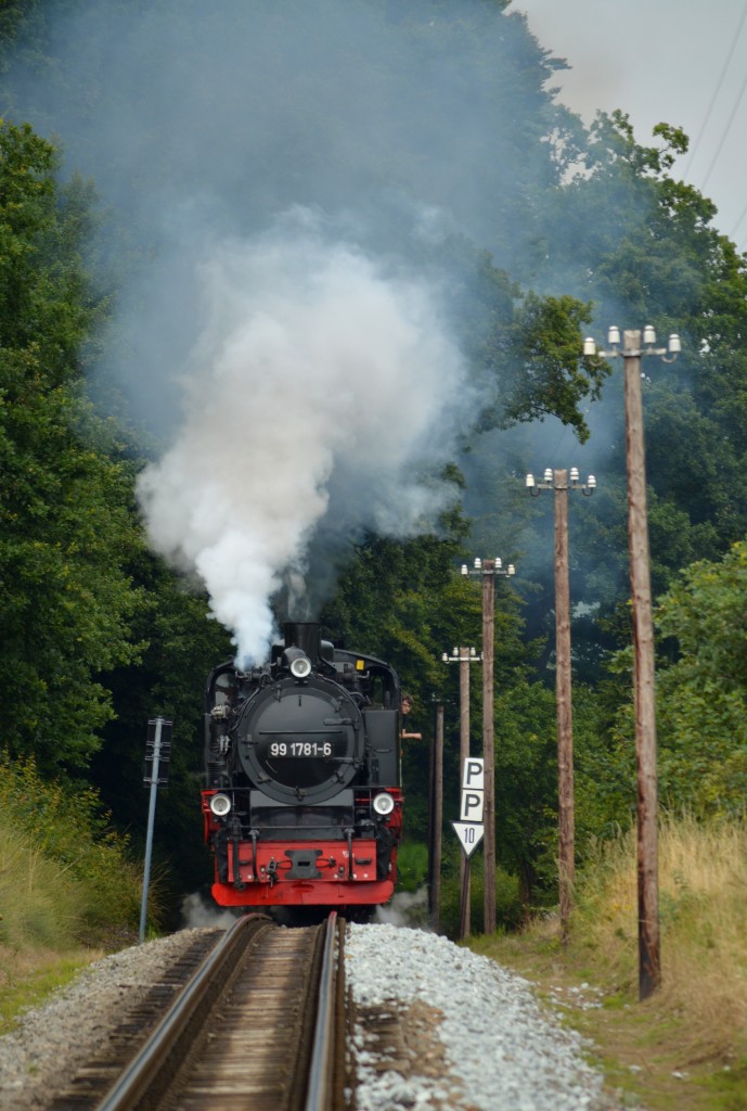 99 1781-6 ballert mit P 106 die Steigung nach Seelvitz am 08.08.2015 hoch
