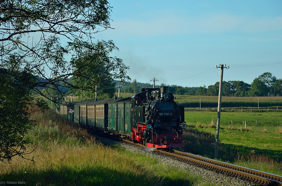 99 1781-6 mit dem P 110 kurz vor der Birkenkurve vor Seelvitz am 21.07.2016