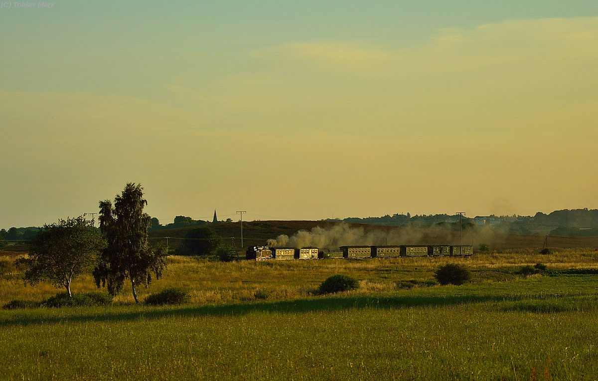 99 1781-6 mit P 113 zwischen Posewald und Seelvitz am 21.07.2016