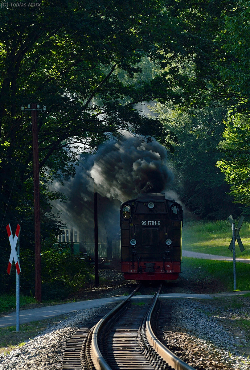 99 1781-6 mit P 231 zwischen Garftitz und Sellin West am 19.07.2016