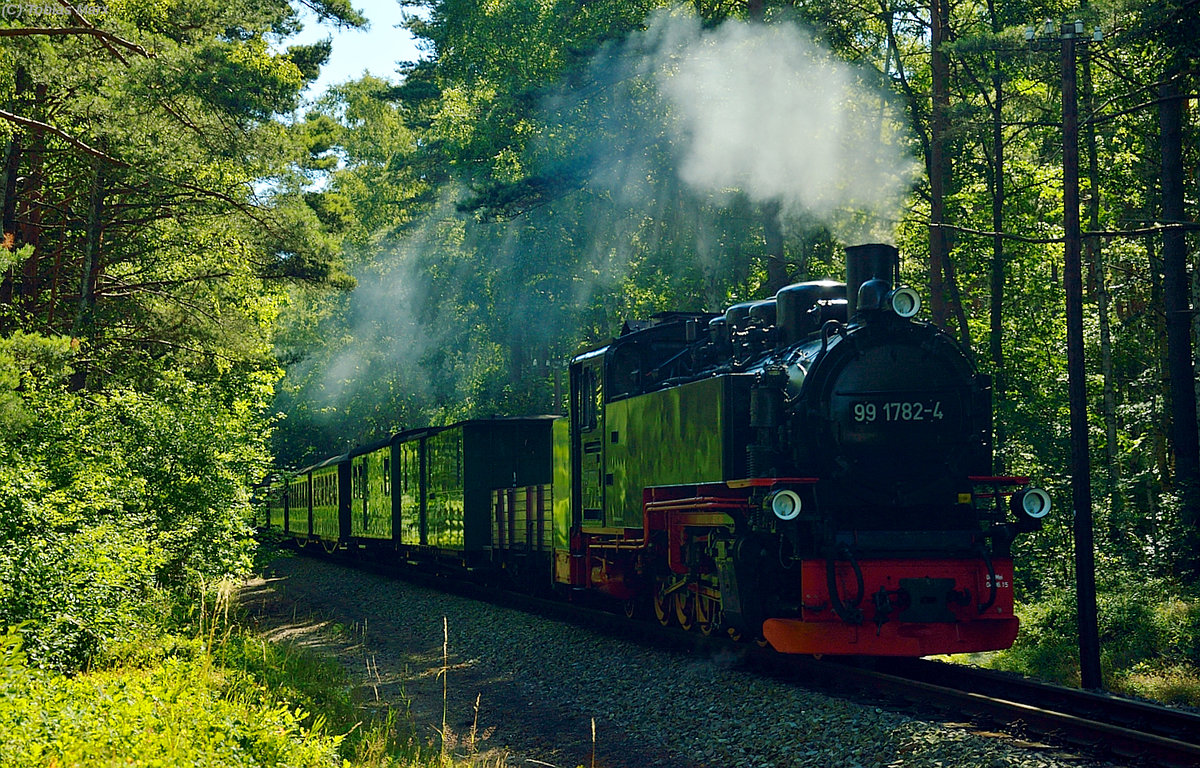 99 1782-4 mit P 102 und Göhrener Kohlewagen zwischen Göhren und Philippshagen in der Baaber Heide am 22.07.2016