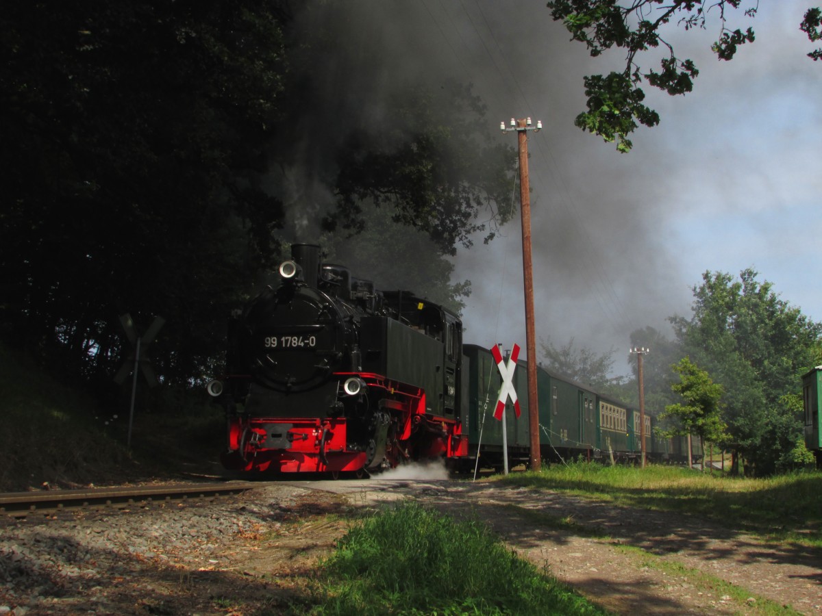 99 1784-0 donnert mit P 106 die Steigung bei Seelvitz am 02.08.2014 hoch