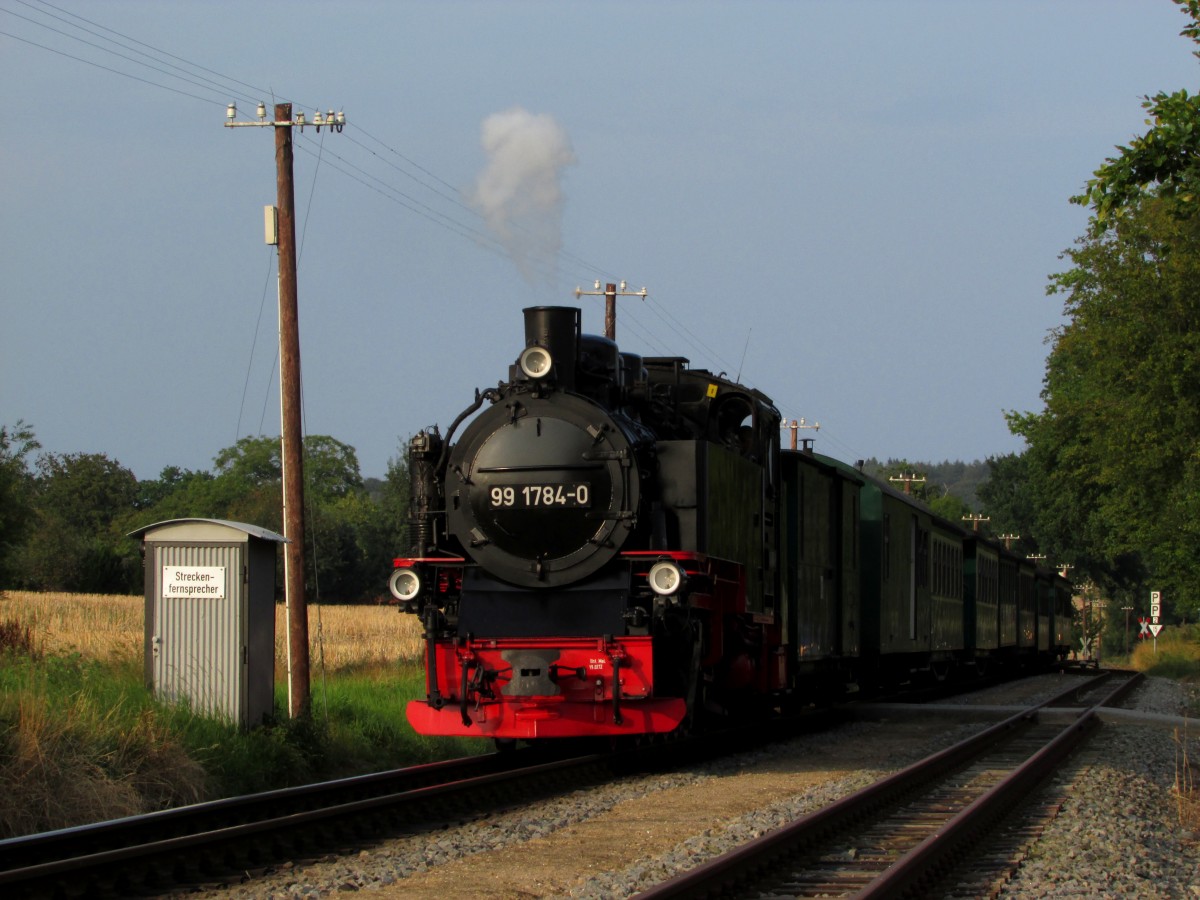 99 1784-0 f�hrt mit P 110 am 02.08.2014 durch den Kreuzungsbahnhof Posewald.
Bild des Monats August.2014