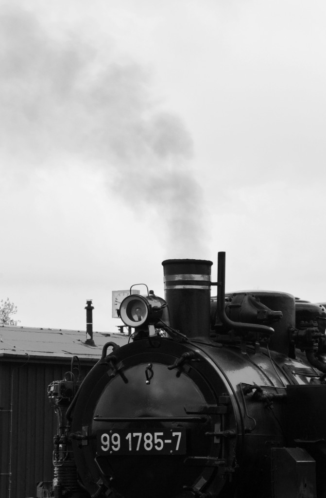 99 1785-7 köchelte am 26.10.2015 in Cranzahl vor sich hin.