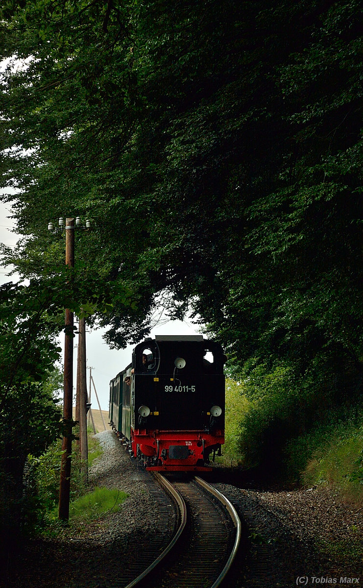 99 4011-5 mit P 111 kurz hinter Seelvitz am 18.07.2016