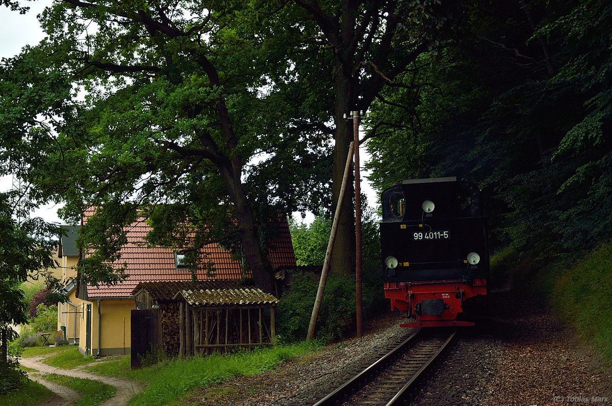 99 4011-5 mit P 111 kurz hinter Seelvitz am 18.07.2016