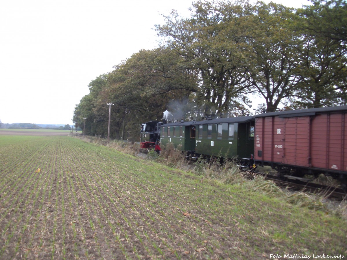 99 4511 mit dem Somderzug-GmP zwischen Beuchow und Posewald am 12.10.14