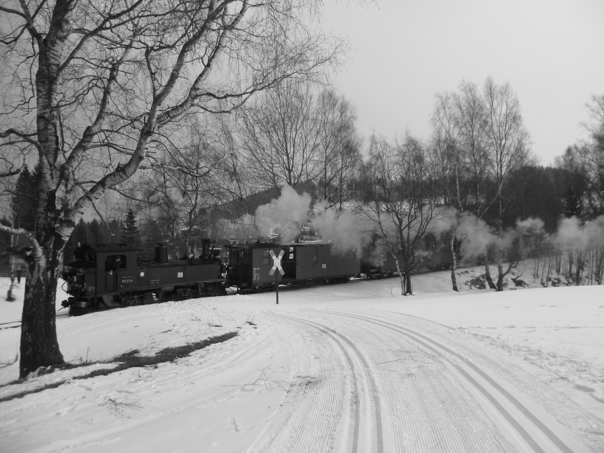 99 516 zusehen am 30.03.13 in Neuheide.