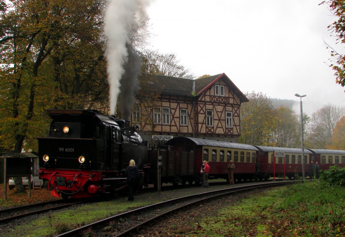 
99 6001 wartet mit P 8960 am 18.10.14 auf die Einfahrt des Gegenzug in Mägdesprung