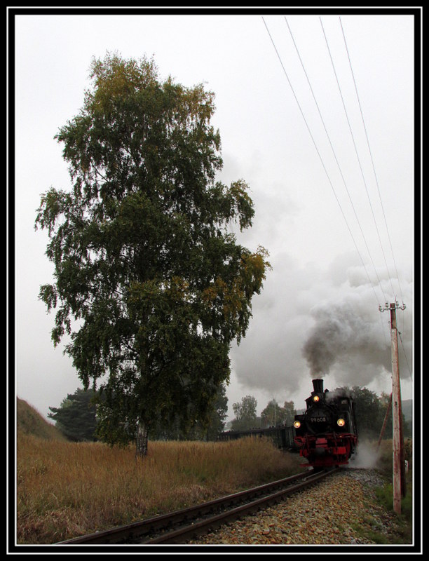 99 608 bei der Scheinanfahrt in der ber�hmten Birkenkurve vor Seelvitz am 13.Okt.2013
