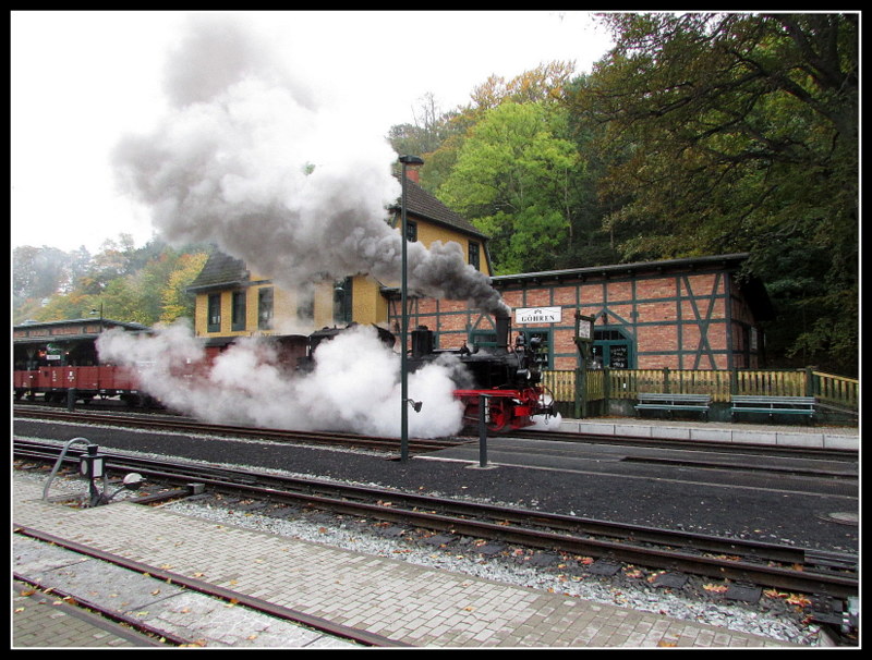 99 608 dampfte sich in G�hren am 13.Okt.2013 bei der Scheinausfahrt ein.