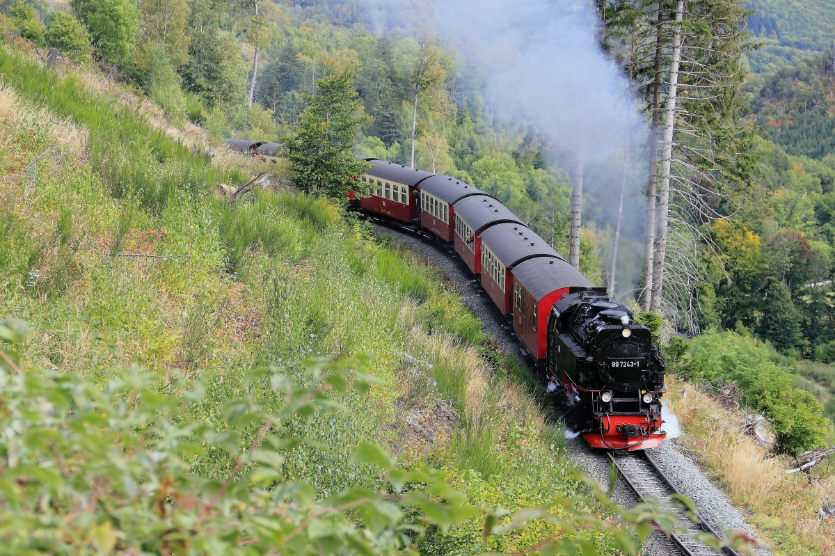 99 7243-5 kurz nach der Durchfahrt durch den einzigen 58 Meter langen Tunnel auf der Strecke der HSB am 23. September 2012.

Der Tunnel hat eine Länge von 58 Meter, berücksichtigt man die sichtbare Stützmauer und weitere ehemals vorhandene schräge Stützmauern zur Bauwerkslänge hinzu ergibt es eine Länge von 70 Meter (Quelle: http://www.eisenbahn-tunnelportale.de/lb/inhalt/tunnelportale/9700.html).