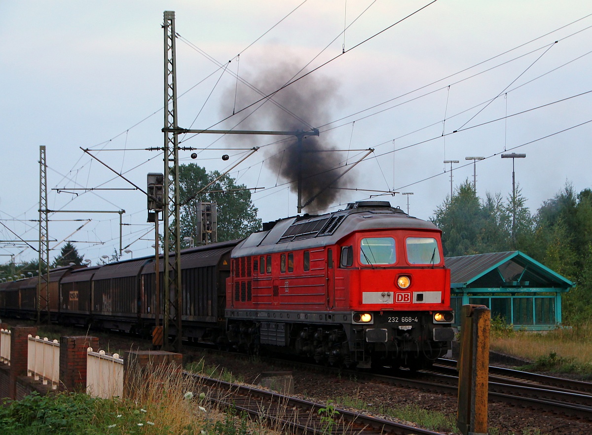 Abdieseln wortwörtlich: Da mal wieder der Gegenzug abgewartet werden musste(die 400m Züge in Schleswig, die 300m Züge in Jübek) konnte so die abdampfende 232 668-4 mit ihrem Gz im Bhf Schleswig festgehalten werden. 24.07.2014