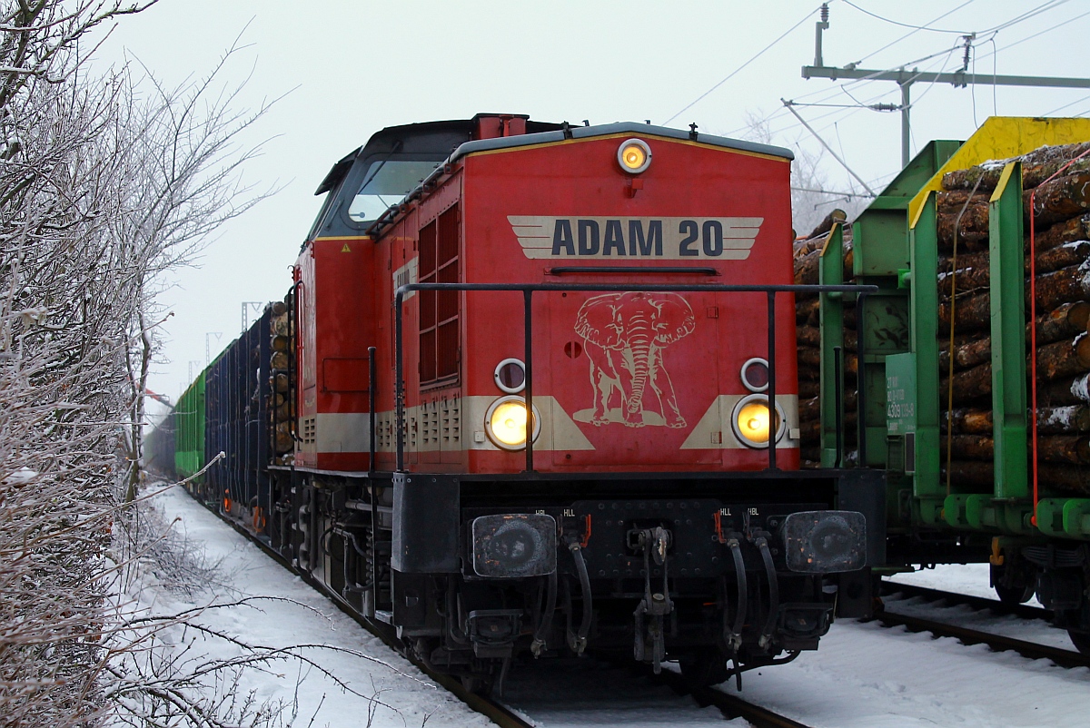 ADAM 20  Gauner  oder 1 202 466-9 D-___(Unt/ADAM/24.06.2010)ist wohl an die HLG Bebra vermietet worden und dient hier als reine Rangierlok da die Ladestrasse und das Rangiergleis nicht unter Fahrdraht stehen. Jübek 31.01.2015