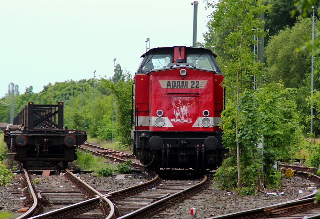 Adam 22  Spike  202 241-6(ex DR 202 241)steht abgestellt im alten Gbf von Hamburg Harburg. 03.06.12