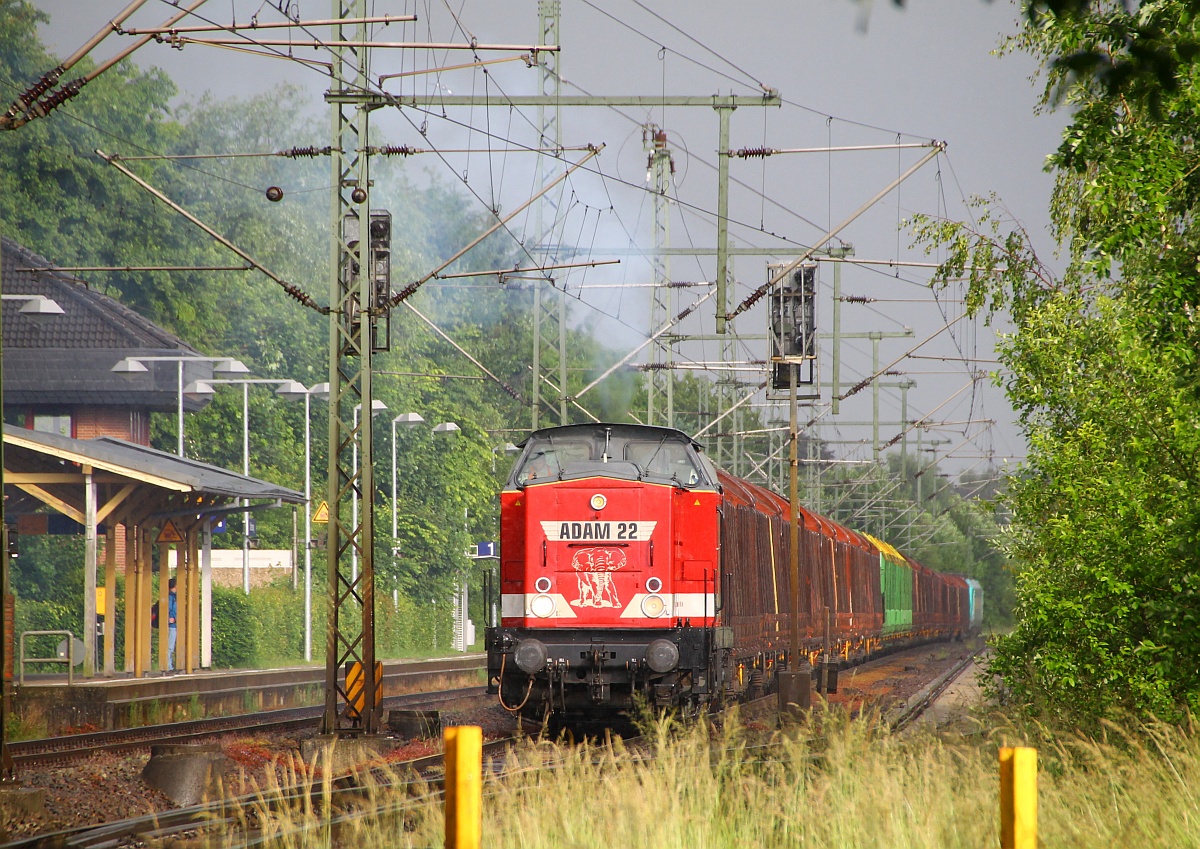 Adam 22/1202 241-6 vorne und RBS AF/HLG 185 634-3 hinten(nach umrangieren in Schleswig)als DGS 95192/194 machen sich mit ihrem aus Roos und Laaps565 Wagen bestehenden Leerzug auf den Weg nach Jübek zur Holzverladung, aufgenommen am BÜ Karpfenteich in Schleswig. 05.06.2014