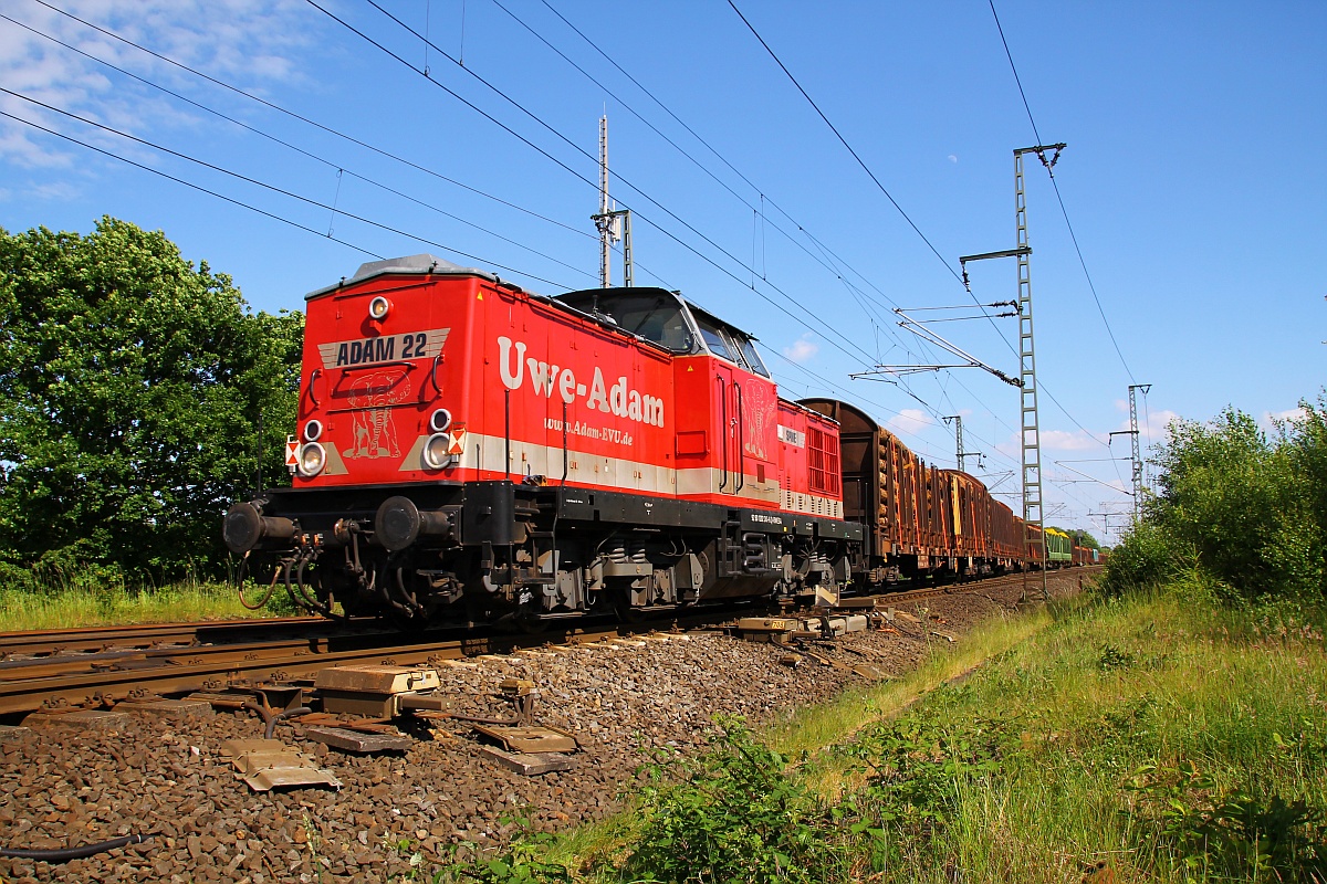 Adam 22/HLG 1202 241-6  SPIKE  rangiert hier den ersten Teil des beladenen Holzzuges vom Ladegleis nach Gleis 1 im Bhf Jübek. 06.06.2014